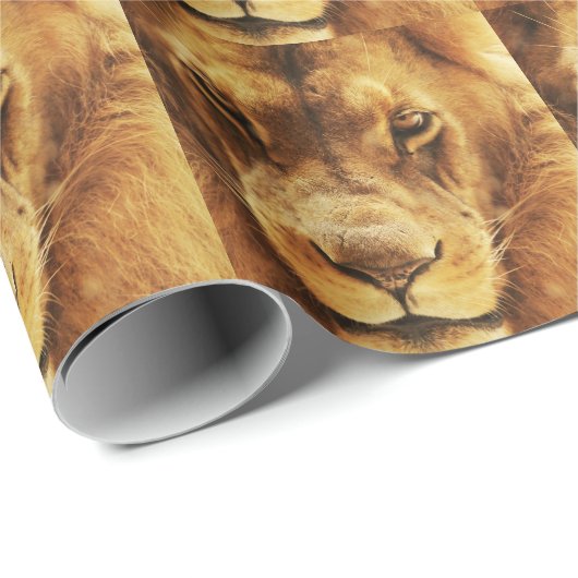 Portret van mannelijke Afrikaanse leeuw. Cadeaupapier (Rol Hoek)