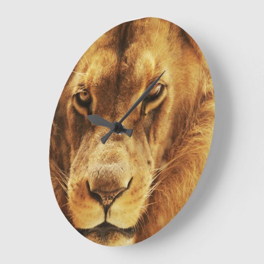 Portret van mannelijke Afrikaanse leeuw. Grote Klok (Hoek)