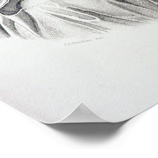 Portret van Marcus Tullius Cicero Poster (Hoek)