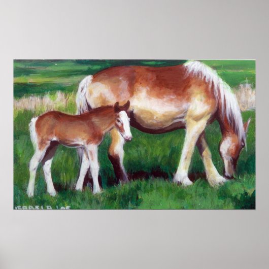 Portret van Mare en Foal Horse Poster (Voorkant)