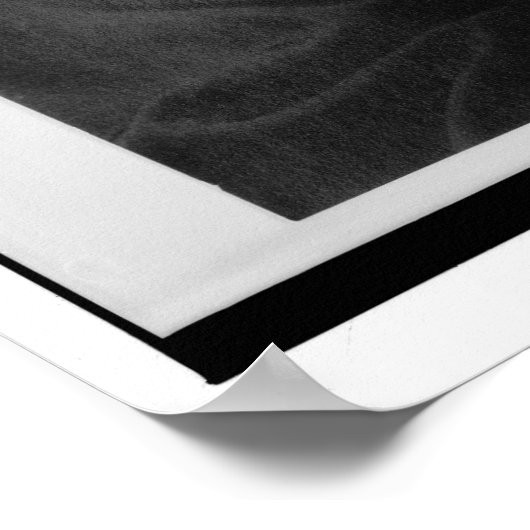 Portret van Mary McLeod Bethune Poster (Hoek)