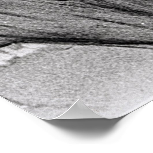 Portret van Mary Seacole Poster (Hoek)