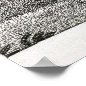 Portret van Meriwether Lewis gegraveerd Poster (Hoek)