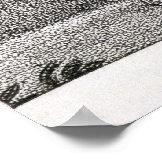 Portret van Meriwether Lewis gegraveerd Poster (Hoek)