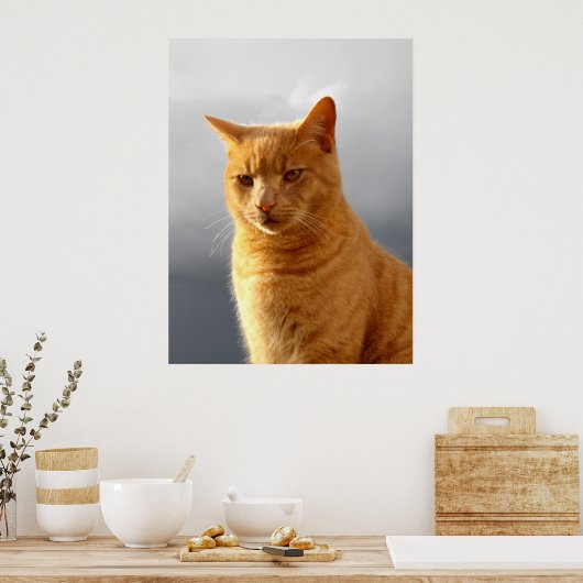Portret van Merlin de gemberkat Poster (Keuken)