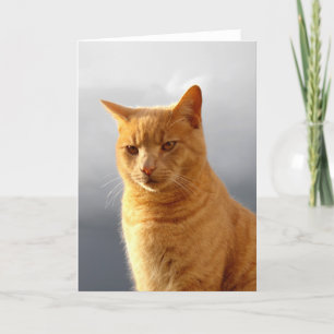 Portret van Merlin de oranje kat Feestdagen Kaart