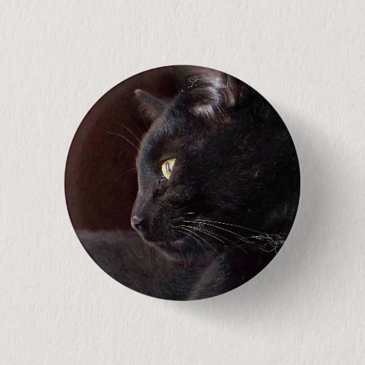 Portret van mijn jongen, Charlie Button (Voorkant)