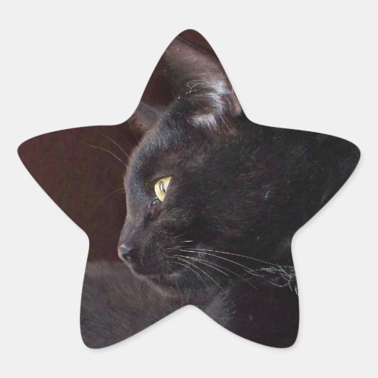 Portret van mijn jongen, Charlie Star Sticker (Voorkant)