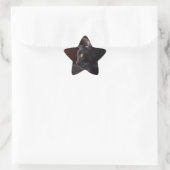 Portret van mijn jongen, Charlie Star Sticker (Tas)