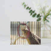 Portret van Molly door Ring Briefkaart (Staand voorkant)