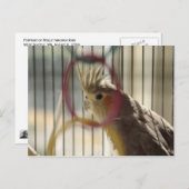 Portret van Molly door Ring Briefkaart (Voorkant / Achterkant)