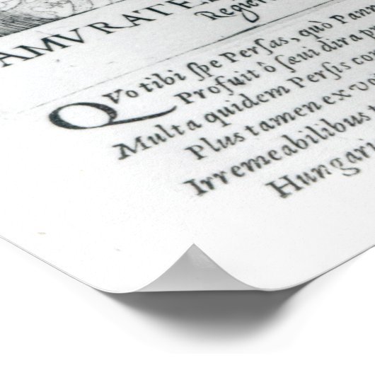 Portret van Murad III Poster (Hoek)