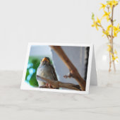 Portret van Mus Kaart (Gele Bloem)