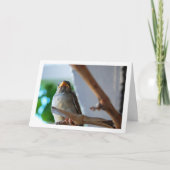 Portret van Mus Kaart (Voorkant)