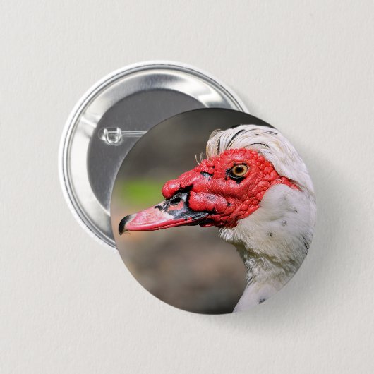 Portret van muskuseend ronde button 5,7 cm (Voorkant /achterkant)