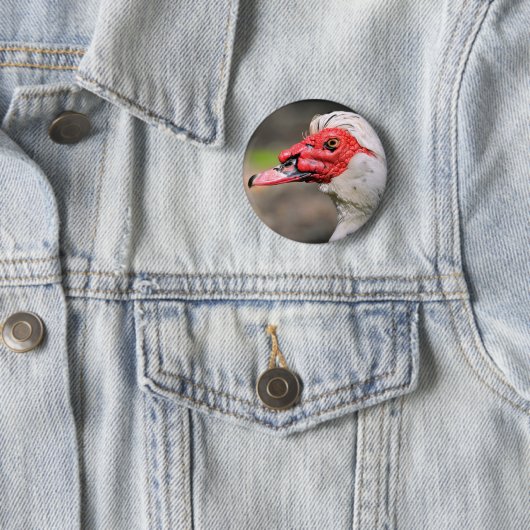 Portret van muskuseend ronde button 5,7 cm (In situ)