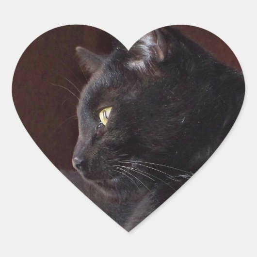 Portret van My Boy, Charlie Heart Sticker (Voorkant)