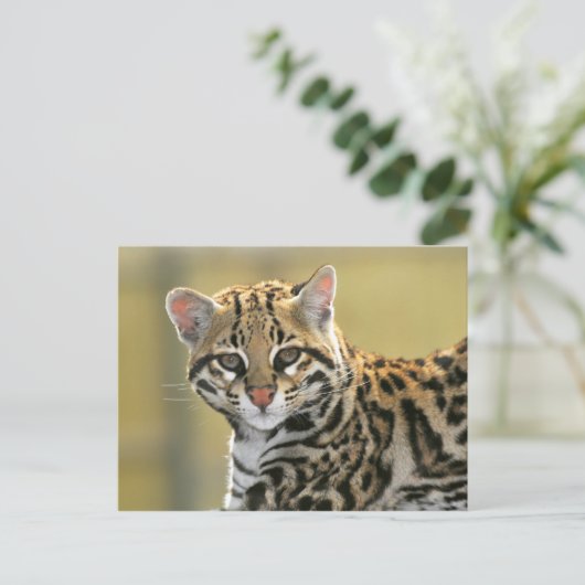 Portret van Ocelot Briefkaart (Staand voorkant)