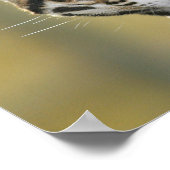 Portret van Ocelot Poster (Hoek)