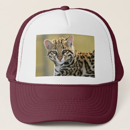 Portret van Ocelot Trucker Pet (Voorkant)