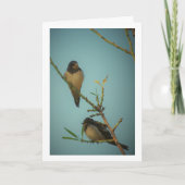 Portret van ondiepe zweetvogels kaart (Voorkant)