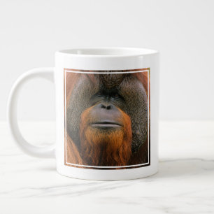 Portret van orang-oetan mannetje, Georgia, USA Grote Koffiekop