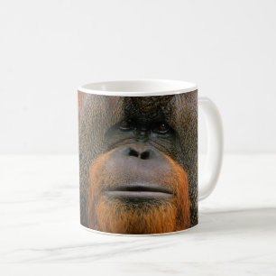 Portret van orang-oetan mannetje, Georgia, USA Koffiemok