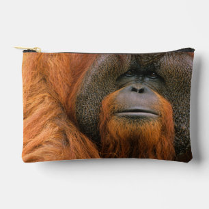 Portret van orang-oetan mannetje, Georgia, VS Etui