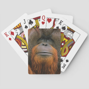 Portret van orang-oetan mannetje, Georgia, VS Pokerkaarten