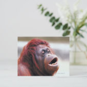 Portret van orangutaan briefkaart (Staand voorkant)