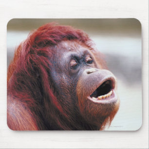 Portret van orangutaan muismat