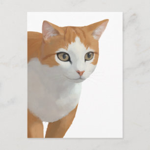 Portret van oranje en witte kat briefkaart