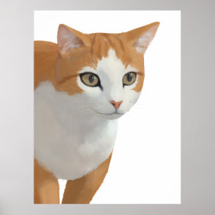 Portret van oranje en witte kat poster