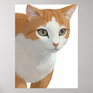 Portret van oranje en witte kat poster