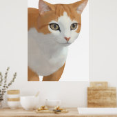 Portret van oranje en witte kat poster (Keuken)