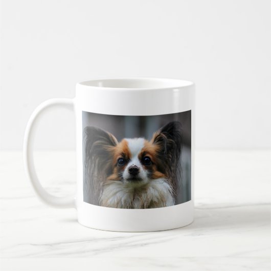 Portret van papillon-purebred koffiemok (Links)
