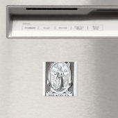 Portret van Paracelsus Magneet (Insitu (Vaatwasser))