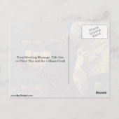 Portret van paus Julius ii door Raffaello Sanzio Briefkaart (Achterkant)