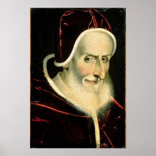 Portret van paus Pius V 1576-80 Poster (Voorkant)