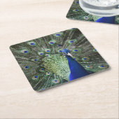 Portret van Pauw met uit Veren Kartonnen Onderzetters (Schuin)