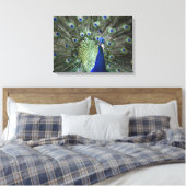 Portret van Peacock met veren uit Canvas Afdruk (Insitu (Slaapkamer))