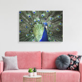 Portret van Peacock met veren uit Canvas Afdruk (Insitu (Woonkamer))