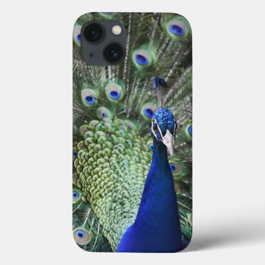 Portret van Peacock met veren uit Case-Mate iPhone Case (Achterkant)