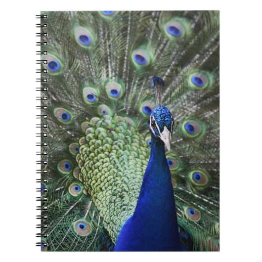 Portret van Peacock met veren uit Notitieboek (Voorkant)