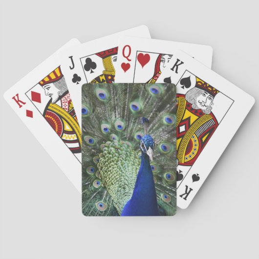 Portret van Peacock met veren uit Pokerkaarten (Achterkant)