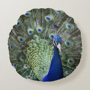 Portret van Peacock met veren uit Rond Kussen