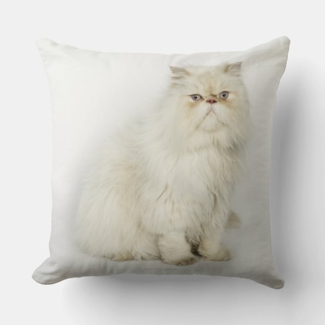 Portret van Perzische kat Kussen (Voorkant)