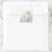 Portret van Perzische kat Vierkante Sticker (Tas)