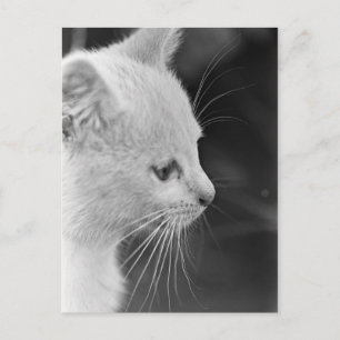 Portret van Petra Briefkaart