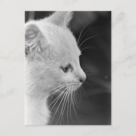Portret van Petra Briefkaart (Voorkant)
